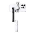 Insta360 Flow Standalone (white)