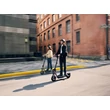 Segway Ninebot KickScooter F3 E 