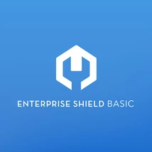 DJI Enterprise Shield Basic (Matrice 210 V2 RTK)