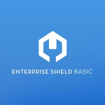 DJI Enterprise Shield Basic (Matrice 210 V2 RTK)