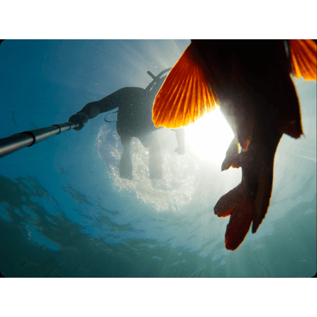 GoPro Extension Pole + Waterproof Shutter Remote