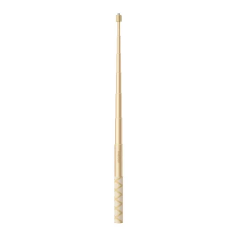 Insta360 Invisible Selfie Stick (114 cm) – gold