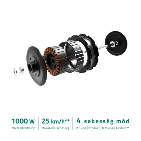 LAMAX eRacer SC50 e-roller