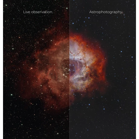 Vaonis Vespera II okostávcső_8