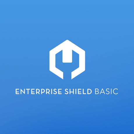 DJI Enterprise Shield Basic (Matrice 210 V2)